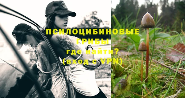 таблы Бронницы