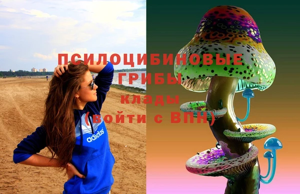 стаф Бугульма