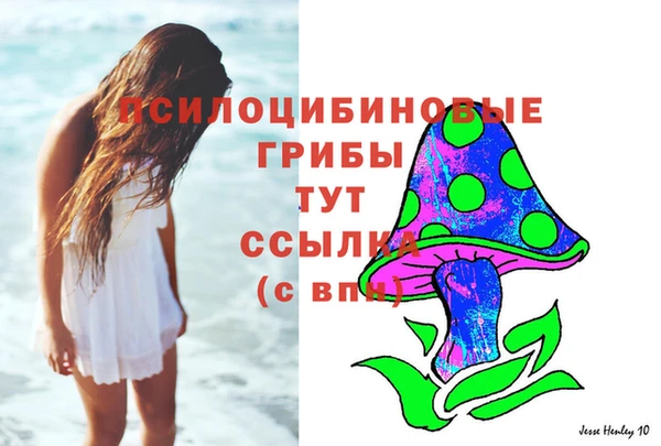 MESCALINE Бородино