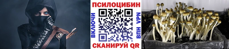 Галлюциногенные грибы Psilocybe  omg ССЫЛКА  Можайск  где продают  